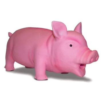 Maialino grugnino in lattice