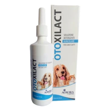 Otoxilact