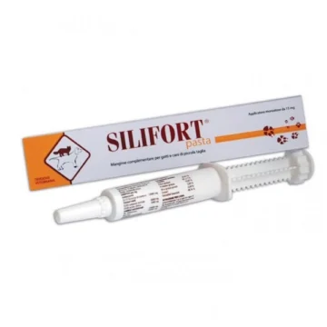 Silifort pasta gr 15