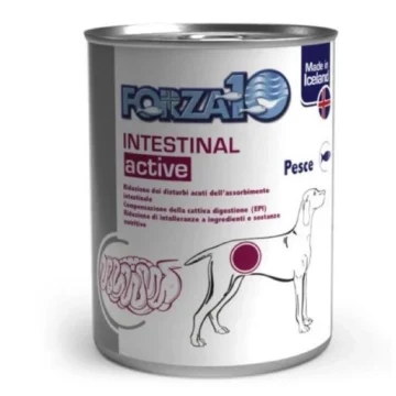 Cane intestinal actiwet pesce 100gx12