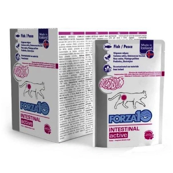 Intestinal actiwet 12 x 100g in busta – gatto