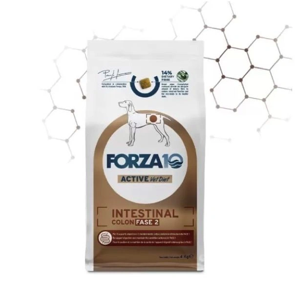 Intestinal colon fase 2 kg10