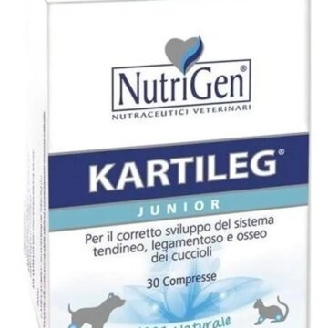 Kartileg junior 60 tavolette gr1