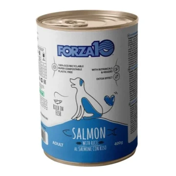 Maintenance adult salmone cane 400g