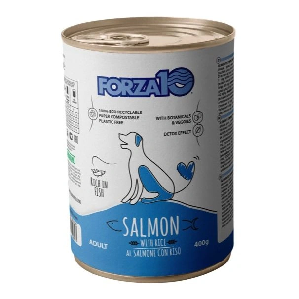 Maintenance adult salmone cane 400g