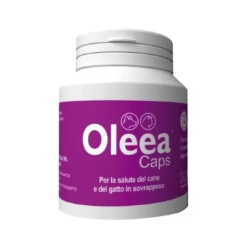 Oleea caps 60