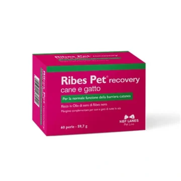 Ribes pet recovery 60 perle